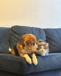 20250526 124223000 ios