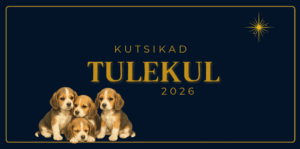 screenshot 2025 11 24 190711