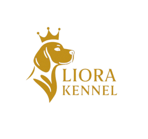 Liora Kennel