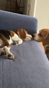 20240402 144709605 ios