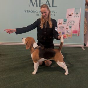 20250226 162537357 ios